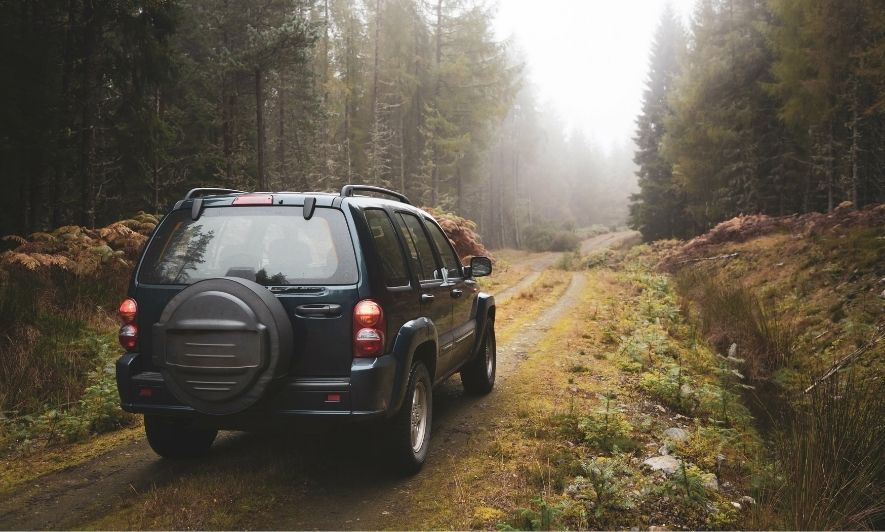 4 Tips and Tricks for Off-Roading in the Woods