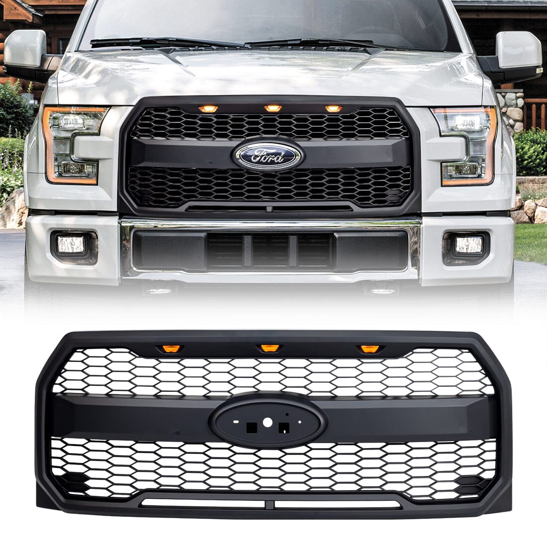 Ford Raptor Grill Logo